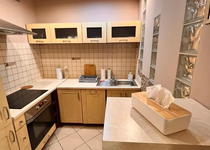 Apartament Roentgena 16 Przy Centrum Onkologii I Klinice Novum *