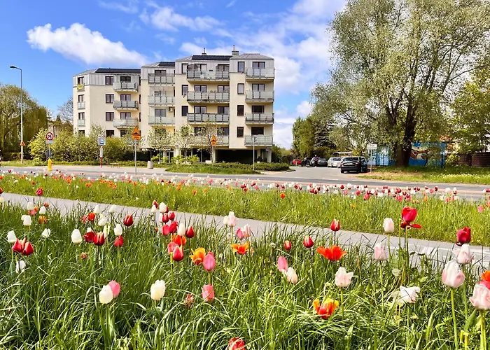 Roentgena 16 Przy Centrum Onkologii I Klinice Novum