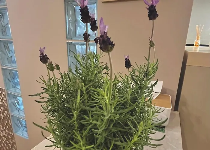 Апартаменты Roentgena 16 Przy Centrum Onkologii I Klinice Novum Варшава